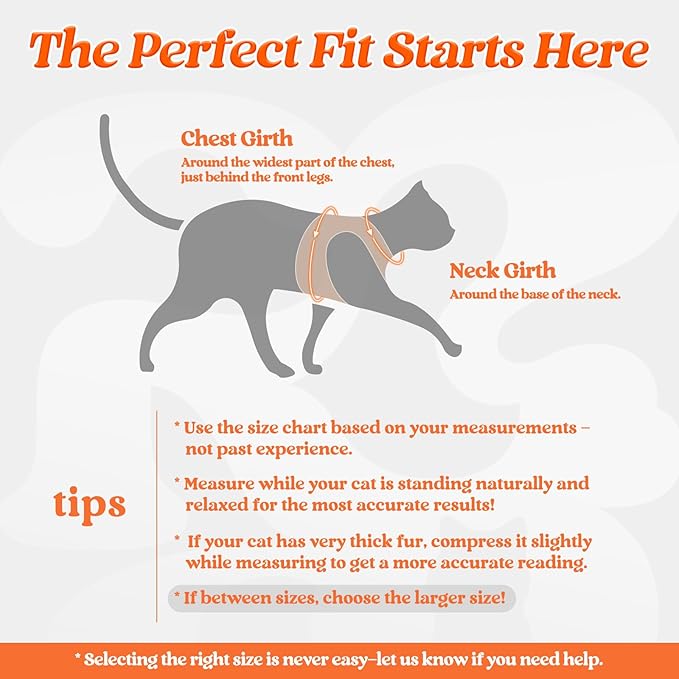 rabbitgoo Cat Harness and Leash, Step-in Escape Proof Kitten Harness Set - Image 2