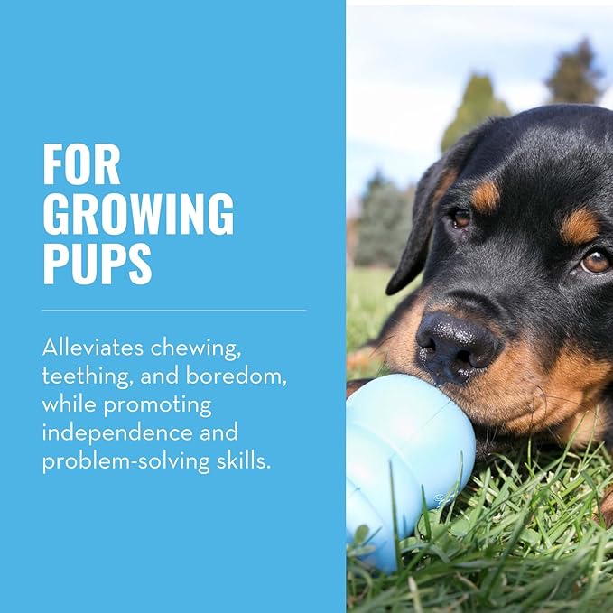 KONG Puppy Binkie - Image 2