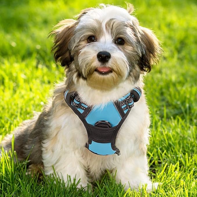 rabbitgoo Dog Harness No Pull - Image 8