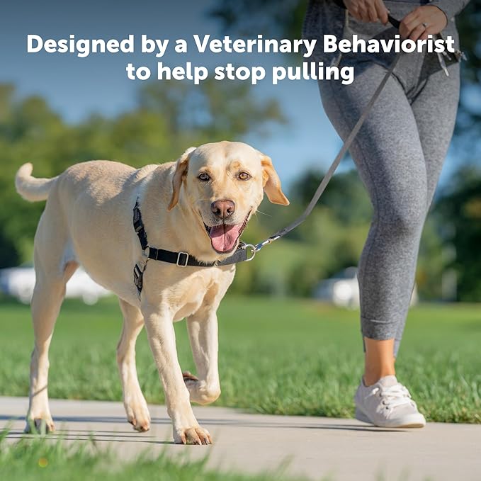 PetSafe Easy Walk No-Pull Dog Harness - Image 2