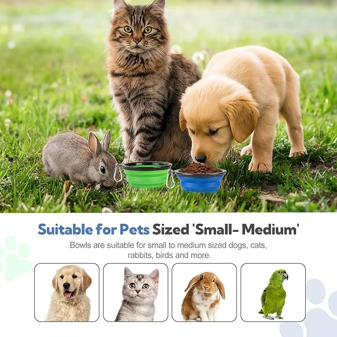 Collapsible Dog Bowls for Travel - Image 7