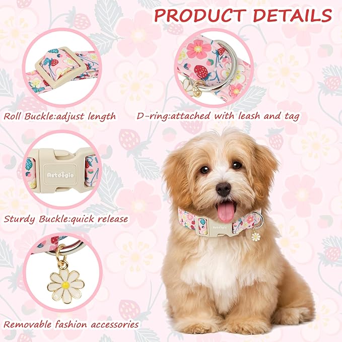 Dog Collar for Small Dogs, Spring Pink Dog Collars - Image 3