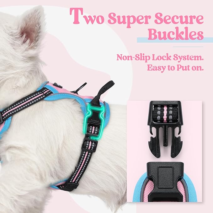 rabbitgoo Dog Harness No Pull - Image 3