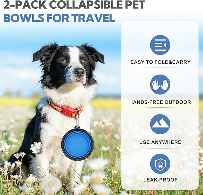 Collapsible Dog Bowl Large 2 Pack, Dog Water Bowls - Image 8