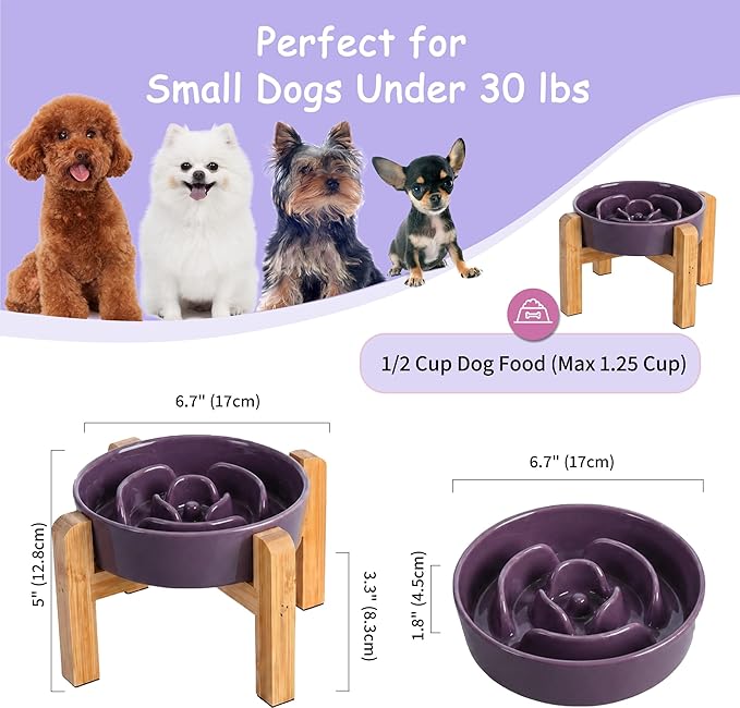 Elevated Slow Feeder Dog Bowl - Image 2