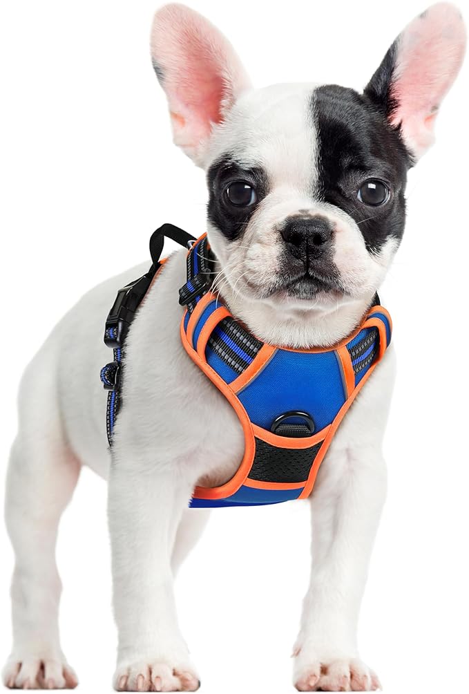 rabbitgoo Dog Harness No Pull by rabbitgoo