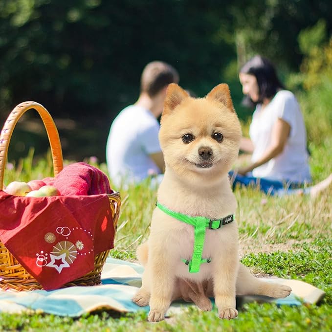 PUPTECK No Pull Dog Harness Soft Adjustable Basic Nylon Step in Puppy Vest - Image 5