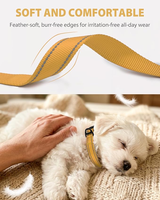 Joytale Small Dog Collar, Durable Double-Sided Reflective Nylon Collar - Image 3