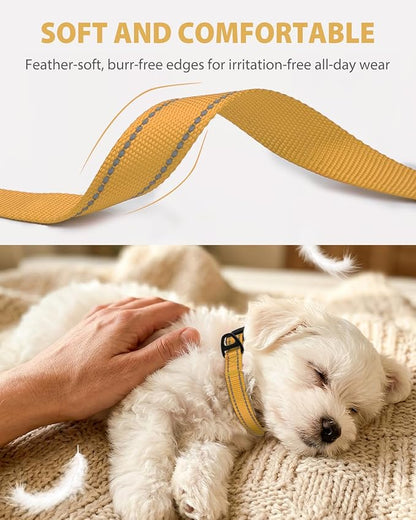 Joytale Small Dog Collar, Durable Double-Sided Reflective Nylon Collar - Image 3