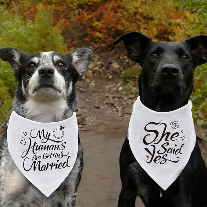 Engagement Gift, My Humans are Getting Married Dog Bandana, Wedding Photo Prop - Image 3