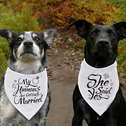 Engagement Gift, My Humans are Getting Married Dog Bandana, Wedding Photo Prop - Image 3