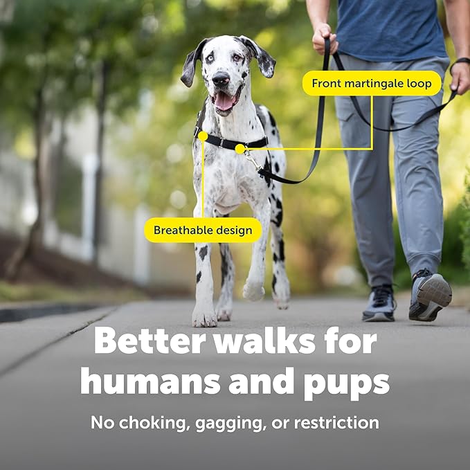 PetSafe Easy Walk No-Pull Dog Harness - Image 4