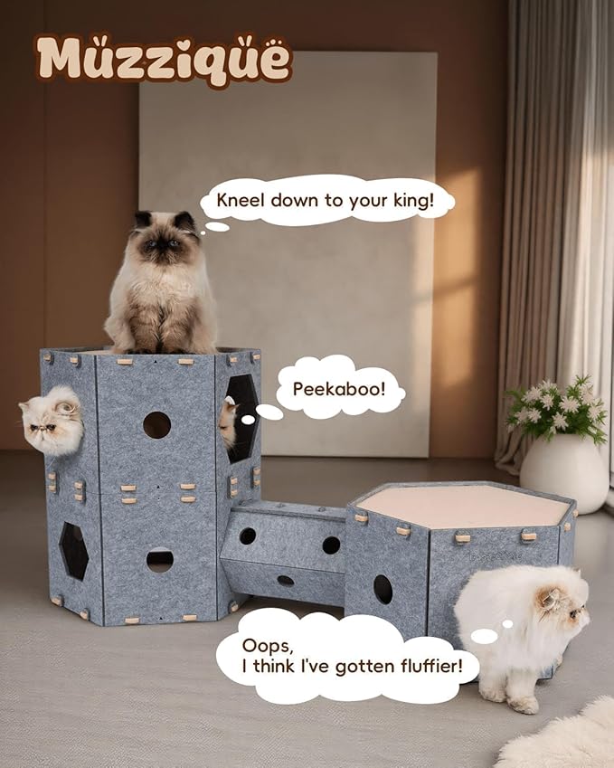 Large Cat Tunnel House Bed for Indoor Cats, w/Hair Brush, DIY Expandable - Image 6