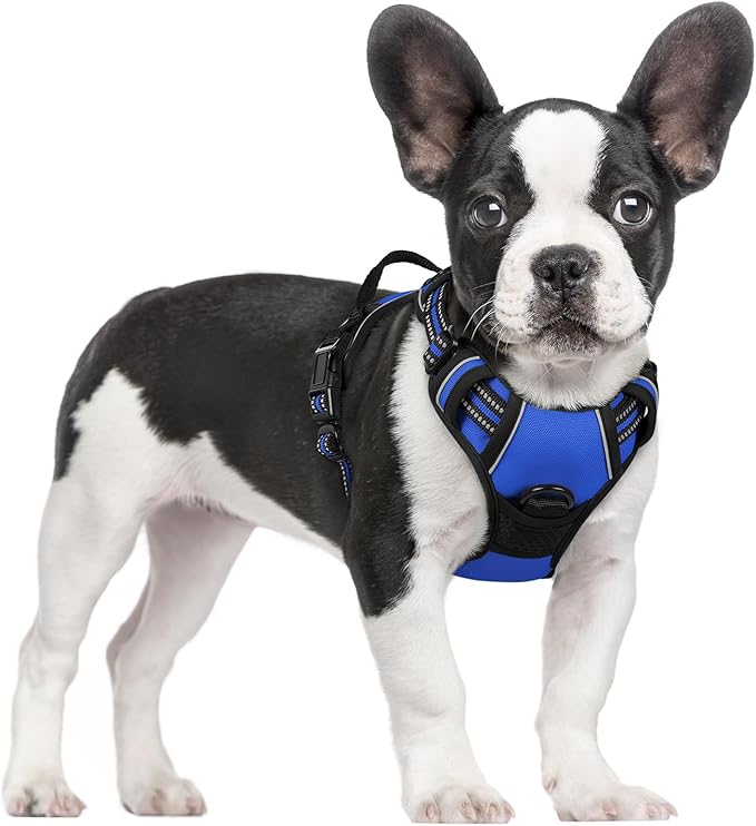 rabbitgoo Dog Harness No Pull by rabbitgoo