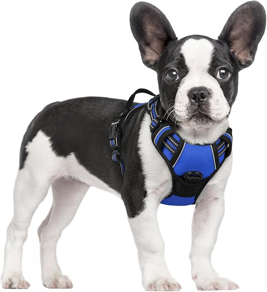 rabbitgoo Dog Harness No Pull by rabbitgoo
