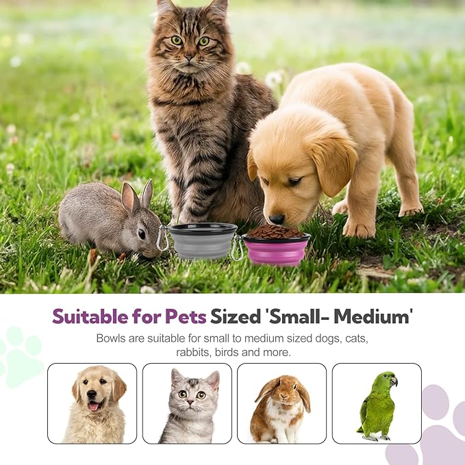 Collapsible Dog Bowl 2 Pack, Dog Water Bowls - Image 7