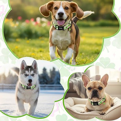 St. Patrick's Day Dog Collar, Cute Dog Collars - Image 3