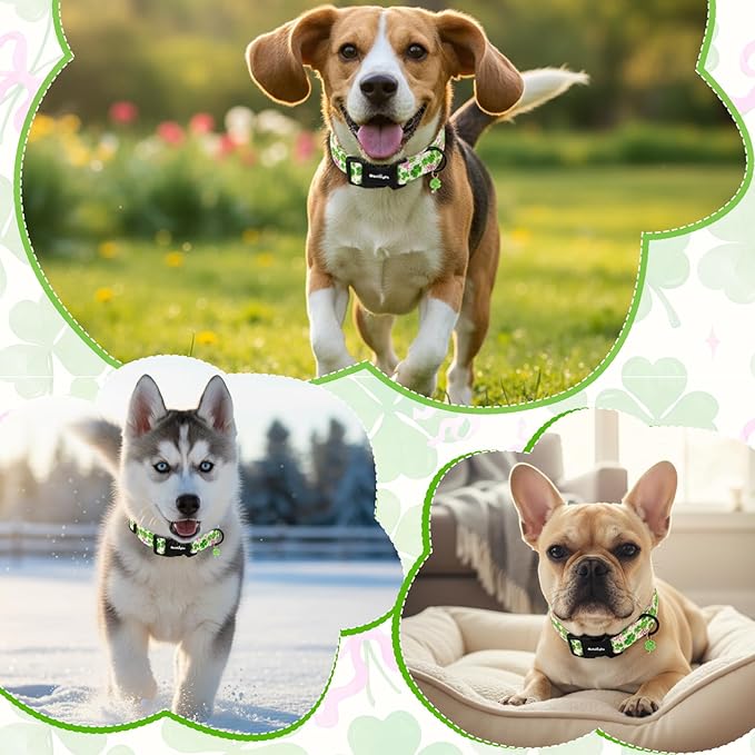 St. Patrick's Day Dog Collar, Cute Dog Collars - Image 3