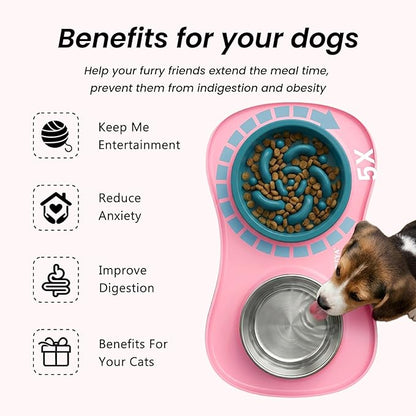 YINEYA 3 in 1 Slow Feeder Dog Bowls & Stainless Steel Food and Water Bowl - Image 3