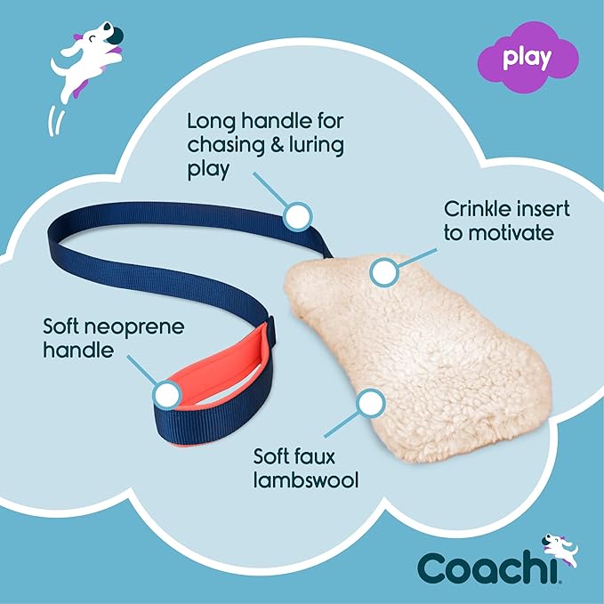 Coachi Chase & Crinkle - Image 3