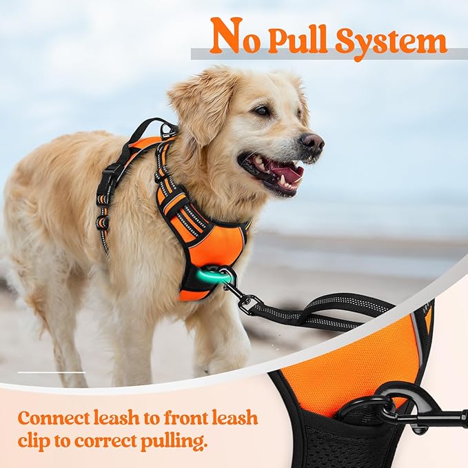 rabbitgoo Dog Harness No Pull - Image 5