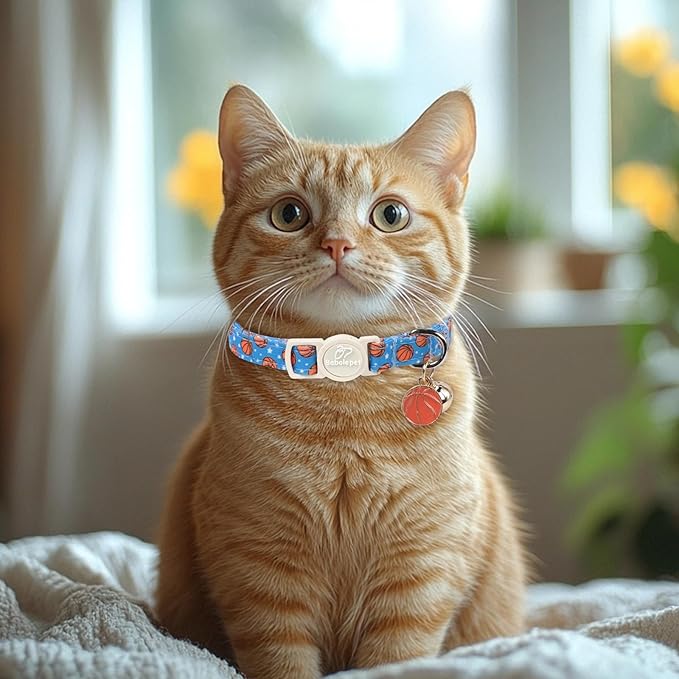 2 Pack Boy Cat Collars - Image 6