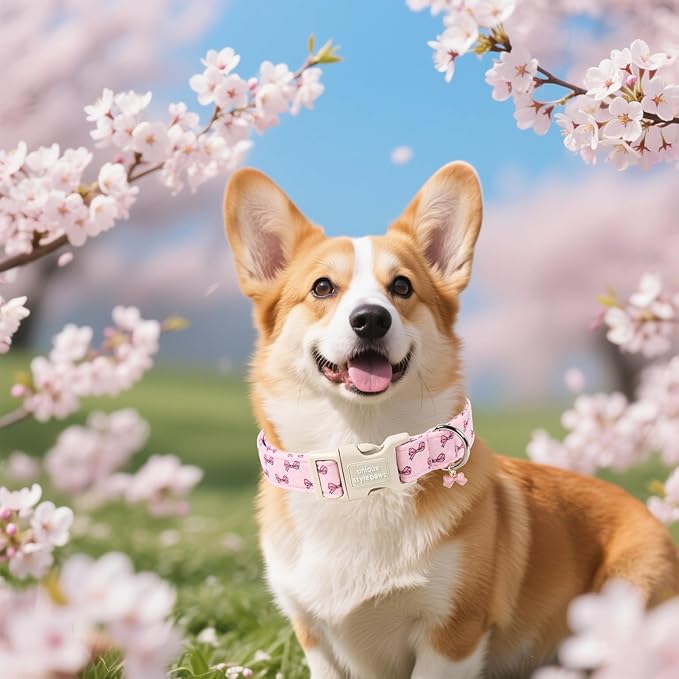 Unique style paws Dog Collar Plastic Buckle - Image 4