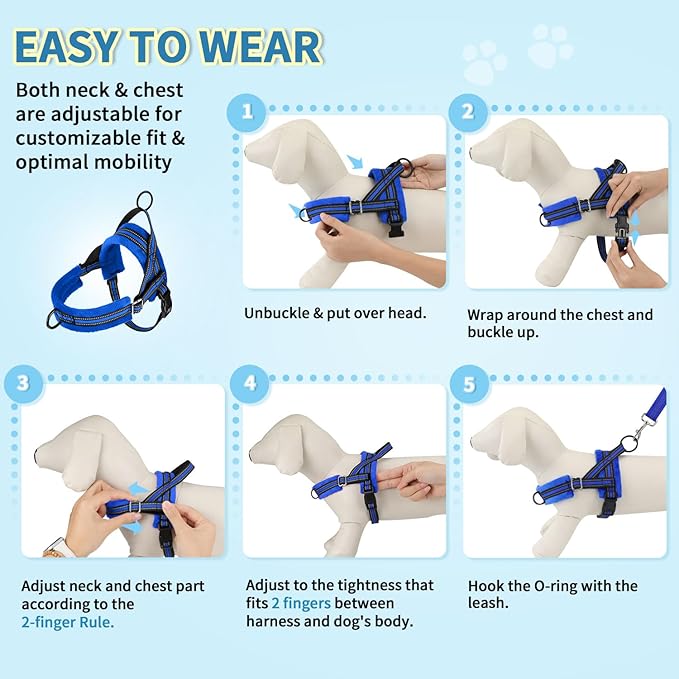 Lukovee No Pull Dog Harness and Leash Set, Soft Padded Small Dog Harness - Image 9