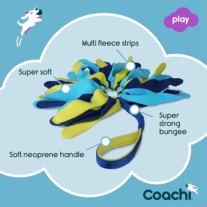Coachi Tuggi Spider - Image 3