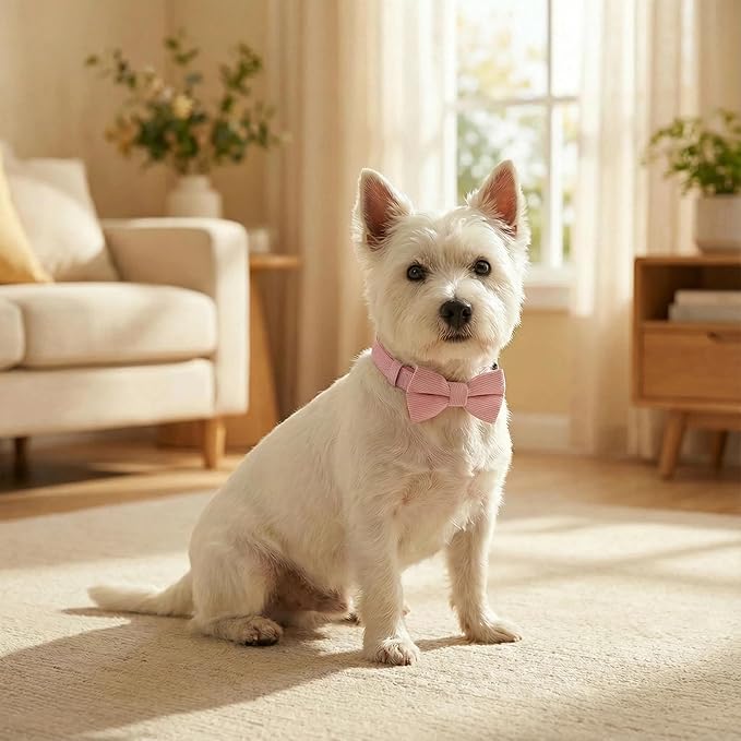 THAIN Dog Collar with Bow Tie Corduroy, Breathable&Adjustable Quick Release - Image 5