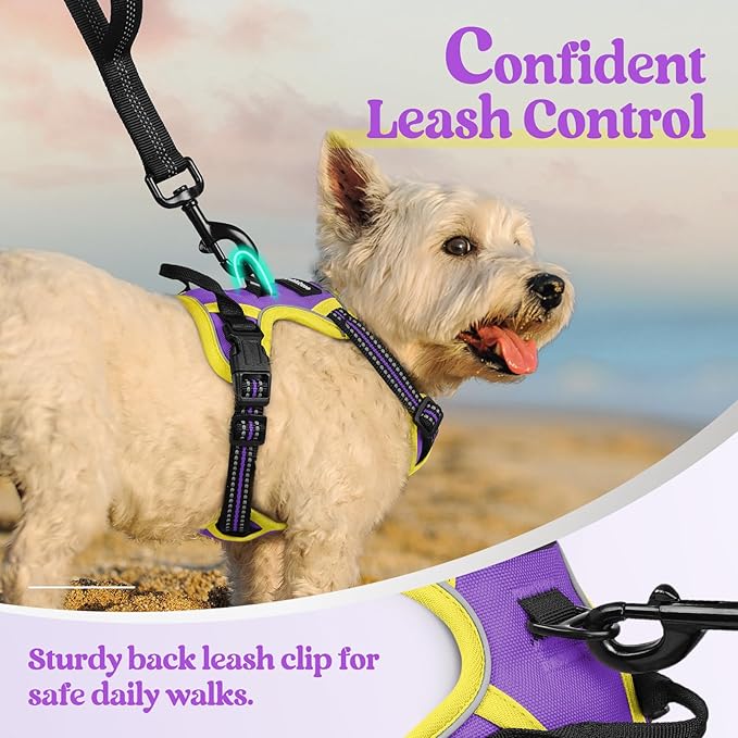 rabbitgoo Dog Harness No Pull - Image 6
