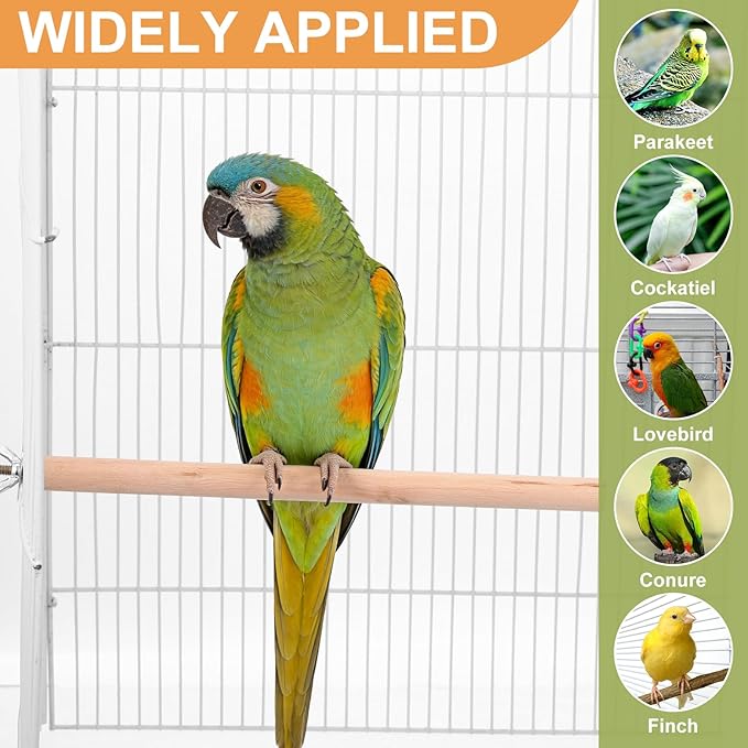 Angoily Dowel Wood Bird Perch Stand Set, Parakeet Perches, 11 Inch Parrot Stand - Image 2