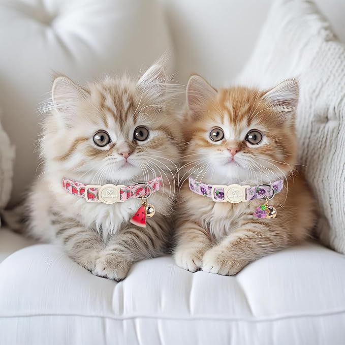 2 Pack Summer Cat Collars - Image 2