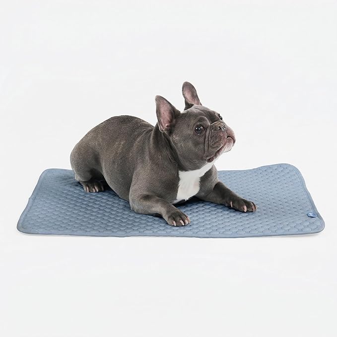 Spark Paws Cooling Mat for Dogs by SparkPaws