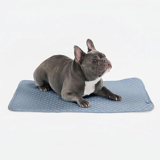 Spark Paws Cooling Mat for Dogs by SparkPaws