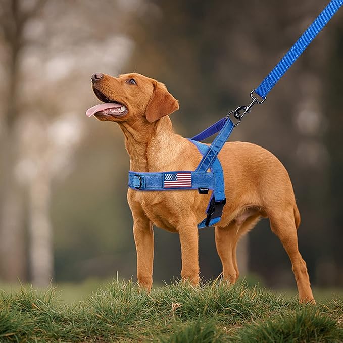 Annchwool No Pull Dog Harness - Image 6