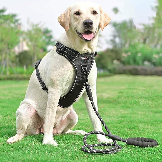 tobeDRI No Pull Dog Harness Adjustable Reflective Oxford Easy Control Medium - Image 4