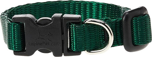 LupinePet Basics 1/2" Green 8-12" Adjustable Collar by LupinePet