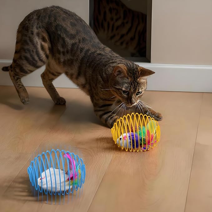Jecery 5 Pcs Cat Spring Balls Toys Stretchable Rolling Balls Colorful Playful - Image 5