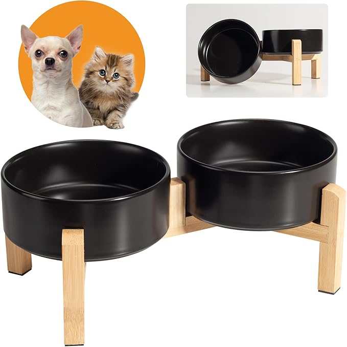 Elevated Ceramic Dog Bowl Set by PTOBER