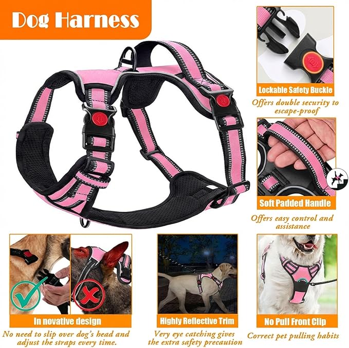 LOBEVE No Pull Dog Harness, Collar & Leash Set | Includes Dog Seat Belt - Image 4