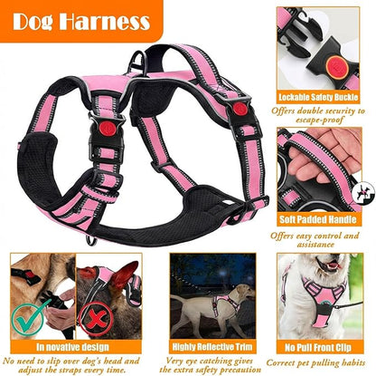 LOBEVE No Pull Dog Harness, Collar & Leash Set | Includes Dog Seat Belt - Image 4