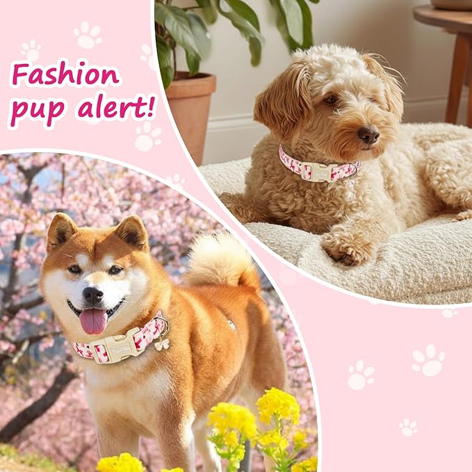 Adjustable Girl Dog Collars - Image 5