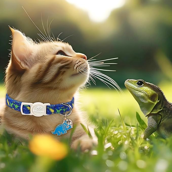 2 Pack Boy Cat Collars - Image 5