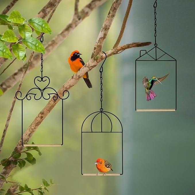 Metal Frame Hummingbird Swings and Perches - Image 4