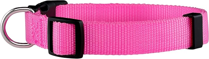 Native Pup Basic Nylon Dog Collar, Adjustable - Image 2