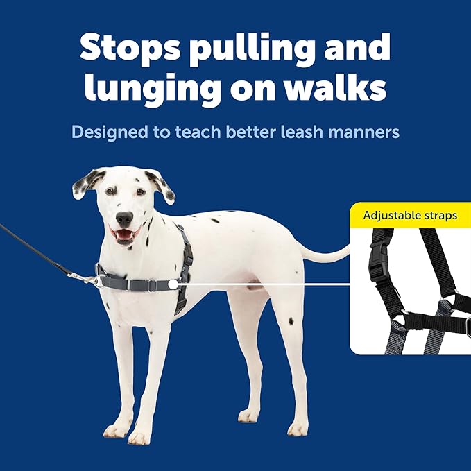 PetSafe Easy Walk No-Pull Dog Harness - Image 3