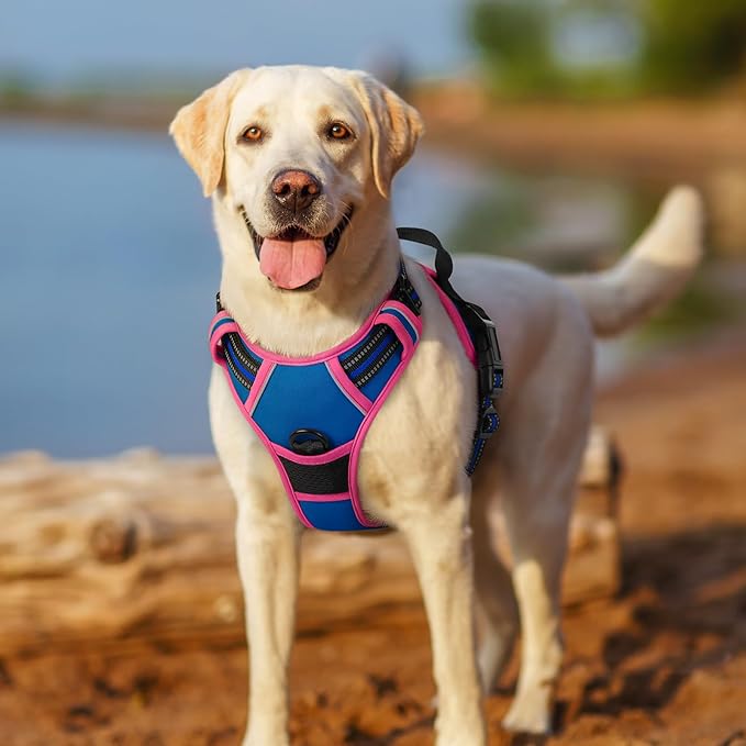 rabbitgoo Dog Harness No Pull - Image 7