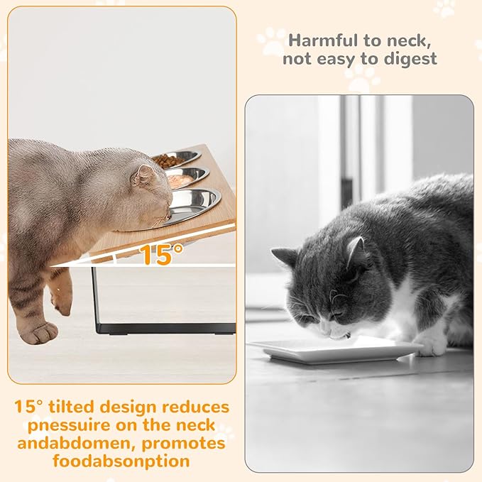 Elevated Cat Bowls with 3 Stainless Steel, 15° Tilted Raised Cat Bowl Set - Image 2