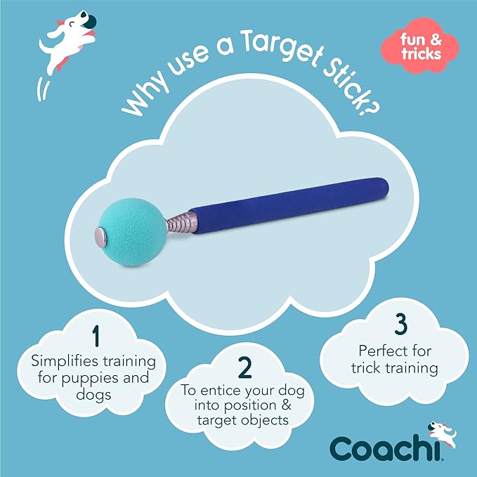 Company of Animals Coachi Target Stick, Telescopic Design - Image 2